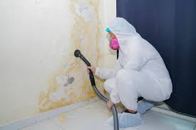 Biohazard Mold Removal in Marengo, IA